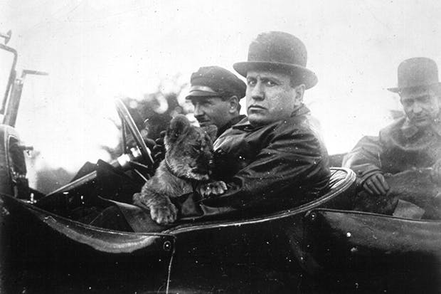 Would you recognise this face? Mussolini back in 1924, on a drive with his pet lion cub, Ras
