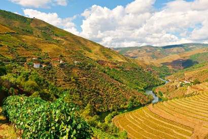 Don’t fear to tread: vineyards in the Douro Valley