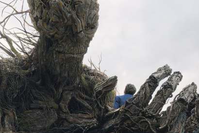 Yew and me: Lewis MacDougall, as Conor, and the tree monster