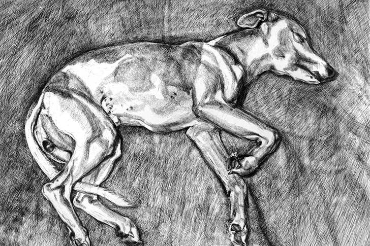 ‘Eli’, 2002, by Lucian Freud