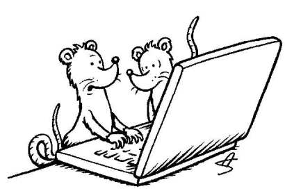 ‘I’m following the Pied Piper on Twitter.’