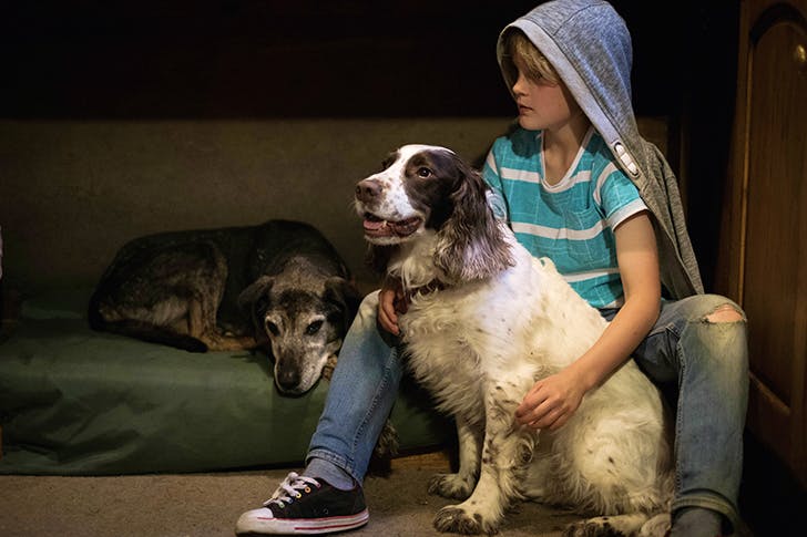 Love unflinching: every child should know it