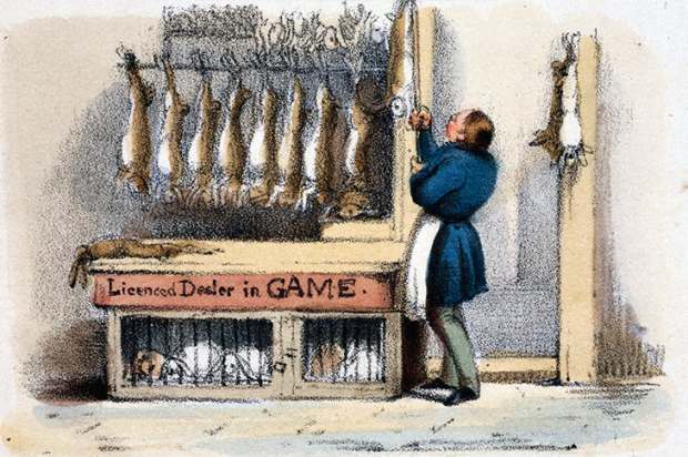 The game butcher, with dead rabbits and live, caged ones beneath. (Scene from the 1840s)