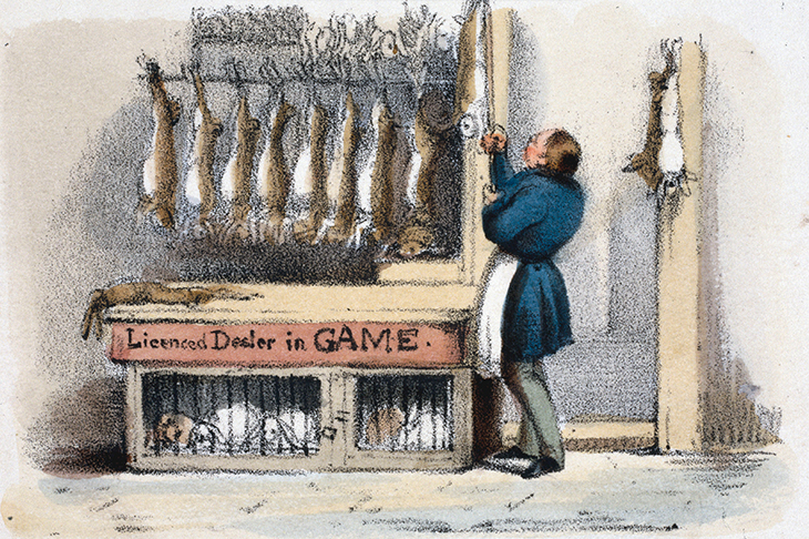 The game butcher, with dead rabbits and live, caged ones beneath. (Scene from the 1840s)
