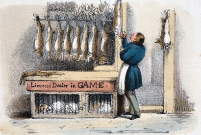 The game butcher, with dead rabbits and live, caged ones beneath. (Scene from the 1840s)