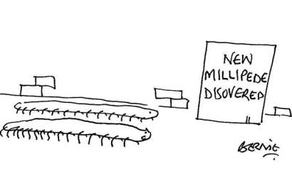 ‘All they ever do is go on about our legs!’