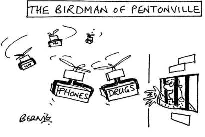 ‘Come on my beauties!’