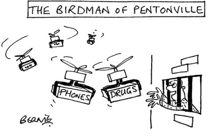 ‘Come on my beauties!’