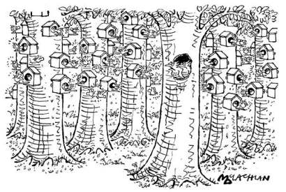 ‘Bloody social birdboxes!’