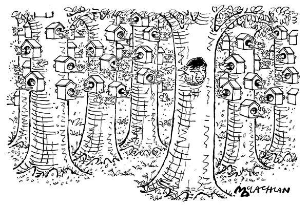 ‘Bloody social birdboxes!’