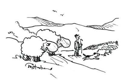 ‘That bleedin’ dog comes near me I won’t be responsible for my actions.’