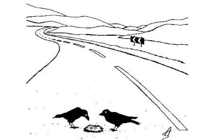 ‘Damn, that’s not roadkill... that’s a toupée.’