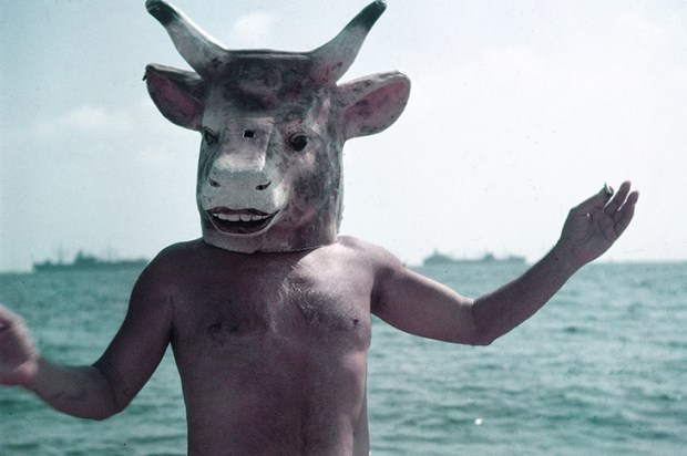 A load of old bull: Picasso wearing a bull’s head intended for bullfighters’ training, Cannes, 1959