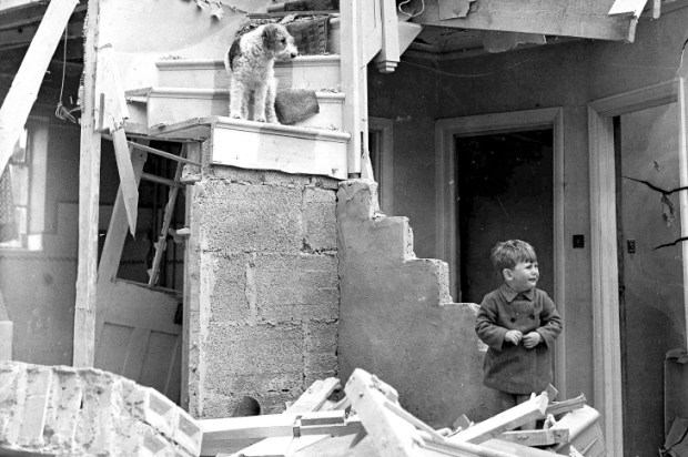 One that got away: a dog with his young owner after a night raid on Hendon, May 1941