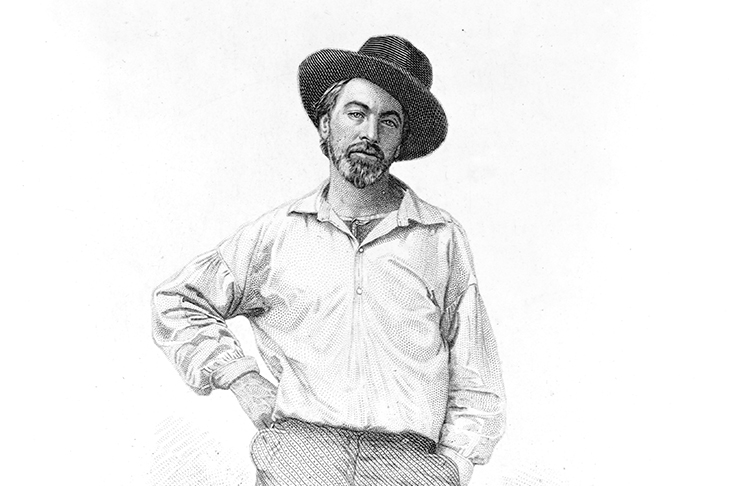 Walt Whitman, aged 35, as he appeared in the first edition of Leaves of Grass