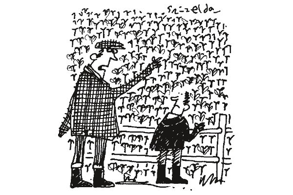 ‘I remember when all this was picked.’