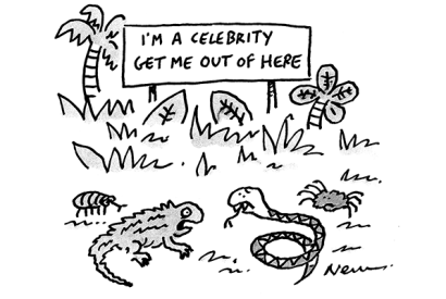 ‘I don’t fancy being stuck in the jungle with Paul Nuttall!’