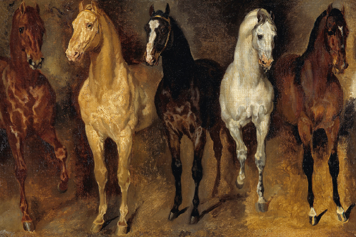 Study of horses by Théodore Géricault