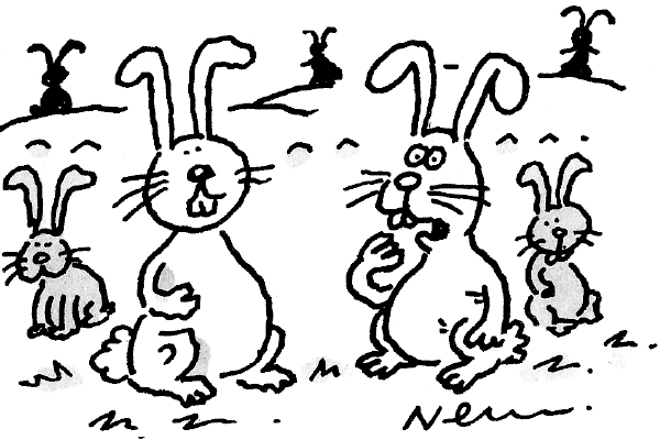 ‘Oh no – we’re breeding like Rees-Moggs!’