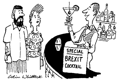 ‘It looks enticing, has a melange of flavours, but has a bitter aftertaste...’