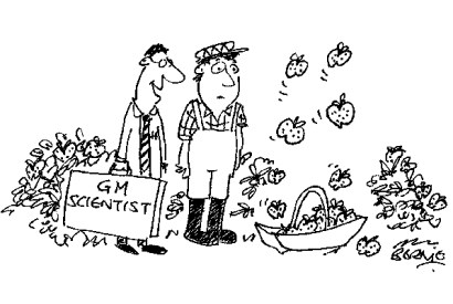 ‘Make no mistake, self-picking fruit is the future!’