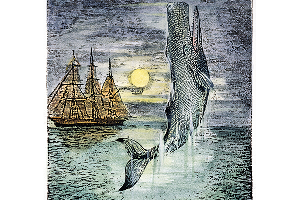 With the all-encompassing model of Moby-Dick behind him, Hoare presents us with a vast and billowing medley of marinaria