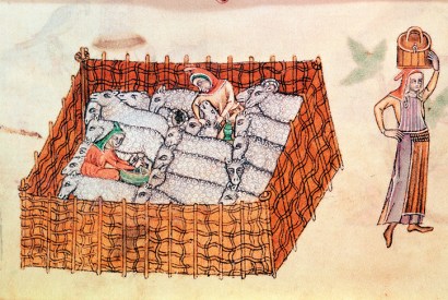 Sheep being milked in a pen. (From the Luttrell Psalter, English School, 14th century)