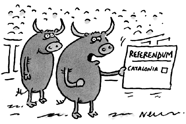 ‘Wave this — it sends them absolutely crazy!’