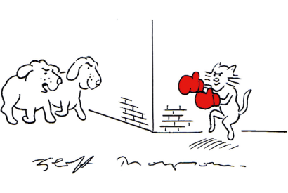 ‘Apparently the cat’s been declawed.’