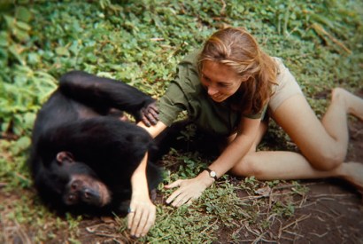 Monkey business: Jane Goodall