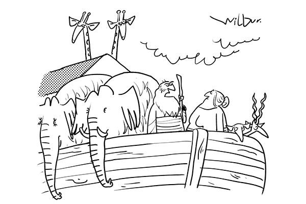 ‘Bugger. The female unicorn turns out to be a transitioning male.’