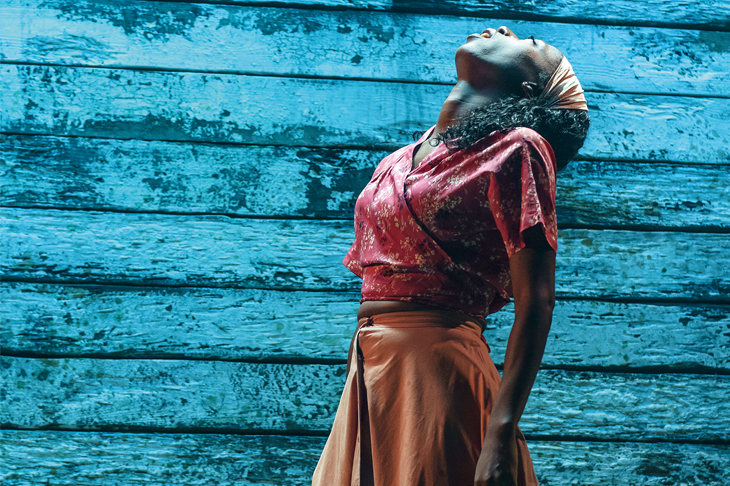 One to savour: Nikki Amuka-Bird as Ellida in The Lady from the Sea