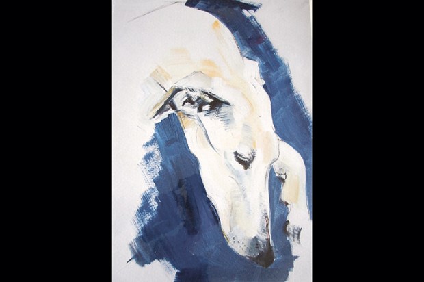 Sally Muir marvellously captures the particular hang of a hound’s head