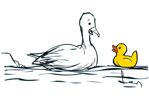 Blimey, how much plastic have you been ingesting?