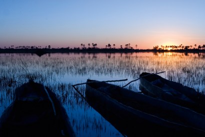 Dawn on the Okavango Delta
