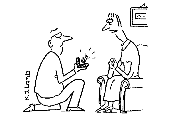 ‘Before I say “Yes”, I’d like to carry out a risk assessment.’