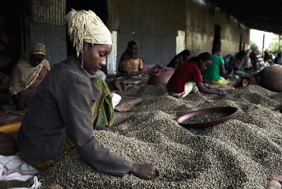 Women sort coffee beans at the Farmers’ Cooperative Union outside Bonga, in the heart of the Kafa region