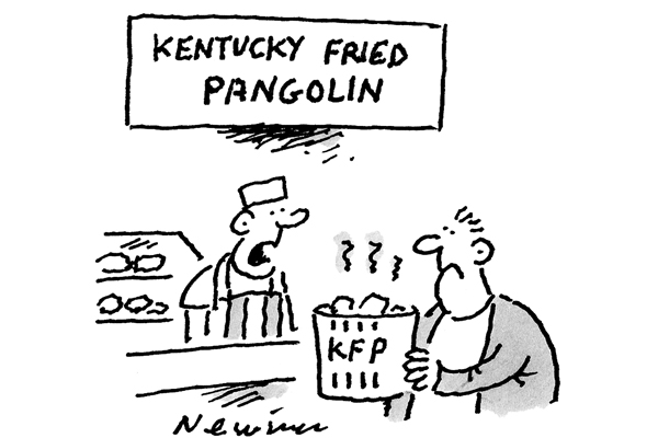 ‘They’re easier to come by than chickens.’