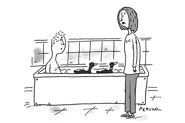 ‘I’ve gone plastic free.’