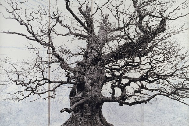 ‘Majesty’, 2006, by Tacita Dean