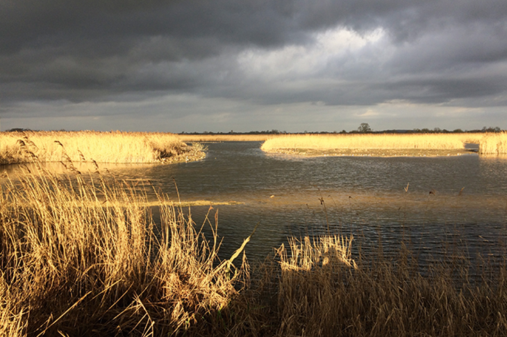 Moorish: Otmoor’s beautiful, desolate landscape