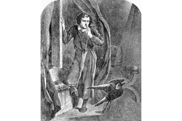 The sinister bird occurs famously in Edgar Allan Poe’s poem ‘The Raven’