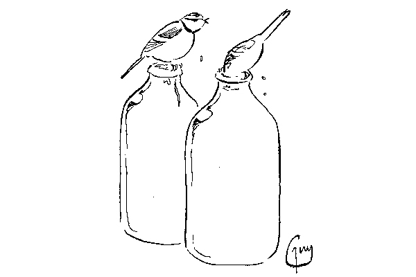 ‘Oh my god, it really is as good as our forefathers told us.’