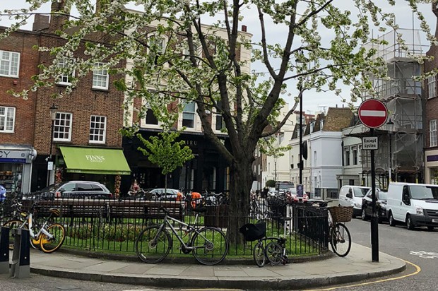 Community spirit: Chelsea Green high street
