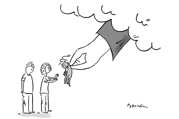 ‘How did he get up there?’