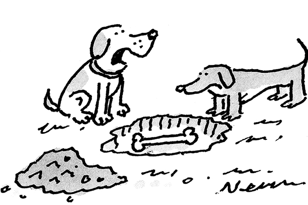 ‘It’s safer than putting it in TSB.’