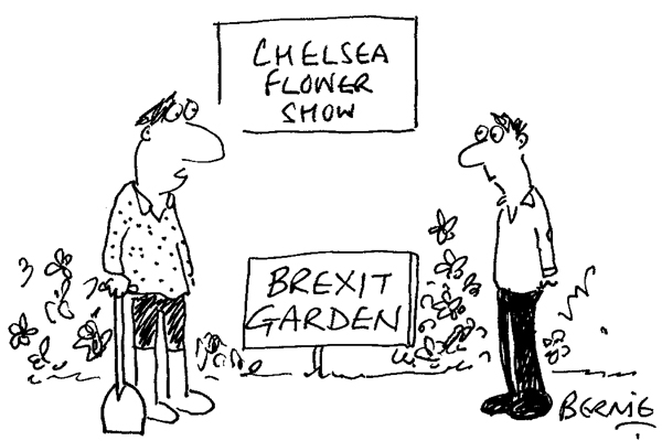 ‘Deciding on a border was a nightmare.’