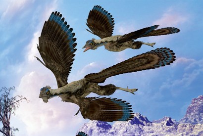 An imaginative depiction of Archaeopteryx, in the transitional phase between non-avian feathered dinosaurs and modern birds