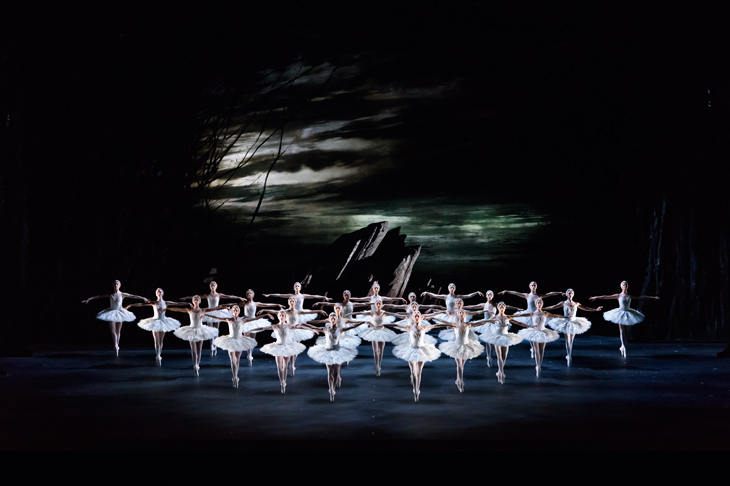 Artists of the Royal Ballet against the easel-worthy backcloths of John Macfarlane’s ravishing designs for Swan Lake