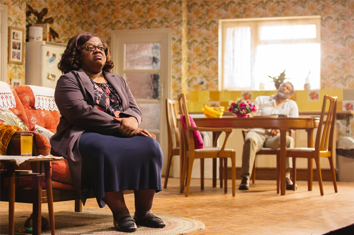 Cecilia Noble as Aunt Maggie in Nine Night at the National Theatre